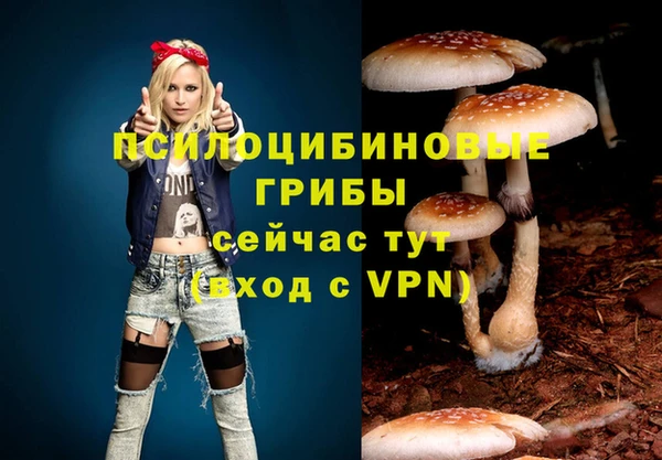 a pvp Белокуриха