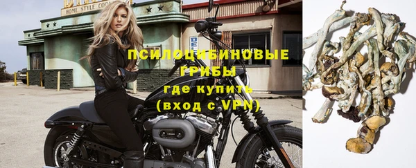 a pvp Белокуриха