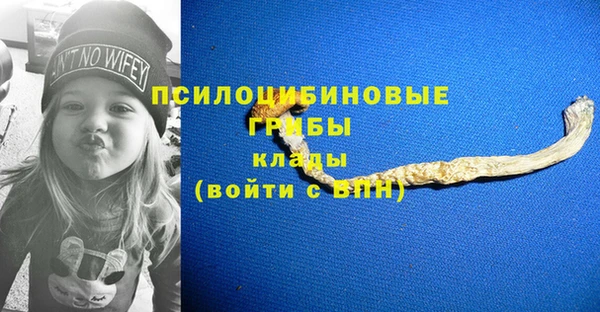 a pvp Белокуриха