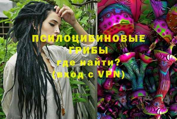 a pvp Белокуриха